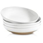 Hasense Set of 4 Ceramic Pasta Bowls