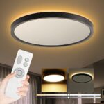 Roomratv Remote-Controlled Black Ceiling Light