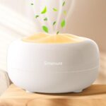 Ultrasonic Essential Oil Diffuser with Timer