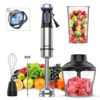Ganiza 5-in-1 Immersion Blender with Accessories