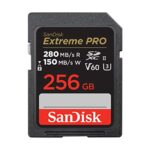 SanDisk 256GB Memory Card