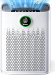 Air Purifier with Smart Mode