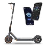 Foldable Electric Scooter with 350W/500W Motor