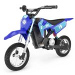 Hiboy DK1 Electric Dirt Bike for Kids
