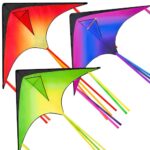 JOYIN 3-Pack Easy-Fly Large Delta Kites