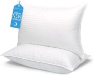 COZSINOOR Queen Size Hotel Quality Pillows - Set of 2
