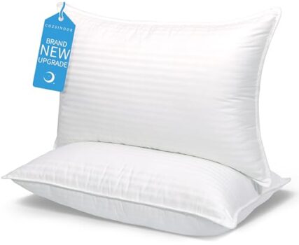 COZSINOOR Queen Size Hotel Quality Pillows - Set of 2