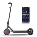 Folding Electric Scooter with Dual Suspension