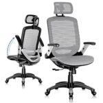 GABRYLLY Ergonomic High Back Office Chair