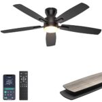 Ohniyou 52'' Modern Ceiling Fan with Lights