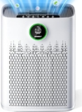 Air Purifier with Smart Mode
