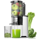 Cold Press Juicer