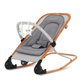 Dream On Me 2-in-1 Baby Rocker