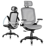GABRYLLY Ergonomic High Back Office Chair