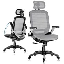 GABRYLLY Ergonomic High Back Office Chair