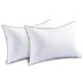 JOLLYVOGUE Bed Pillows Set of 2