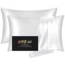 Mulberry Silk Pillowcases 2 Pack
