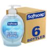 Softsoap Liquid Hand Soap (Pack of 6)