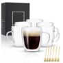 Set of 6 Insulated Glass Mugs