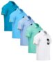 ZITY Mens Polo Shirt 5 Pack